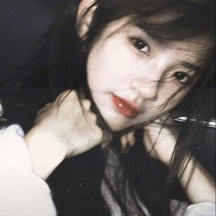 挎斗摩托车里的狗